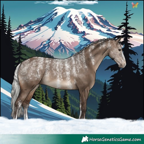 Horse Color:Powder White Silver Brown Dun 