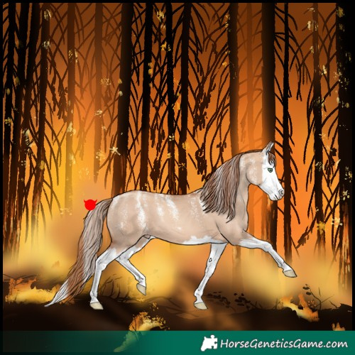 Horse Color:Powder White Gold Champagne Dun Splash 