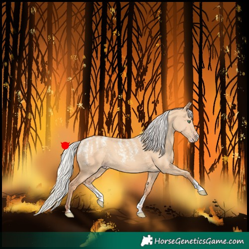 Horse Color:Powder White Silver Classic Champagne Dun