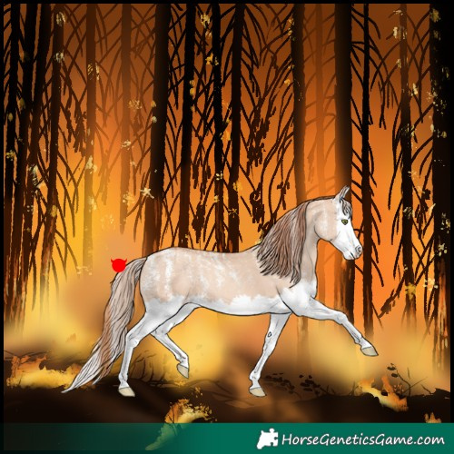 Horse Color:Powder White Gold Champagne Dun Splash 