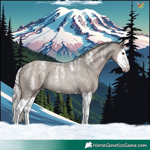 Horse Color:Powder White Silver Grullo Roan Splash Rabicano 
