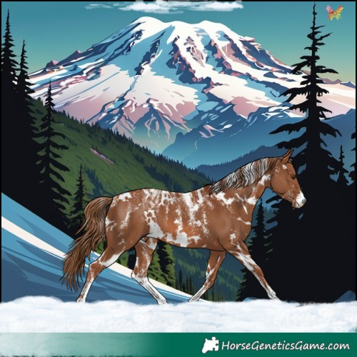 Horse Color:Powder White White Spotted Chestnut