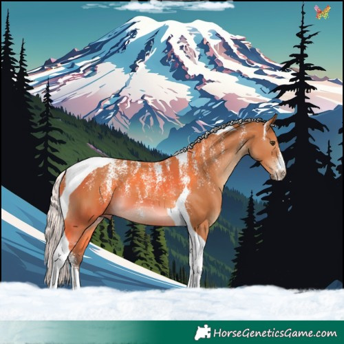 Horse Color:Powder White Silver Bay Tobiano 