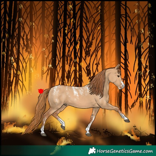 Horse Color:Powder White Red Dun 