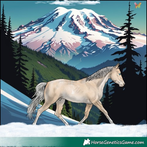 Horse Color:Powder White Silver Buckskin Pearl 