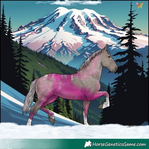 Horse Color:Powder White Silver Grullo Tobiano 