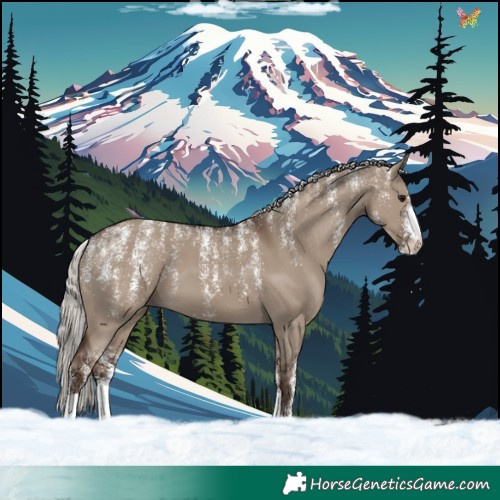 Horse Color:Powder White Silver Grullo 
