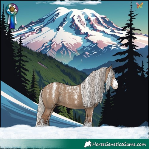Horse Color:Powder White Silver Grullo