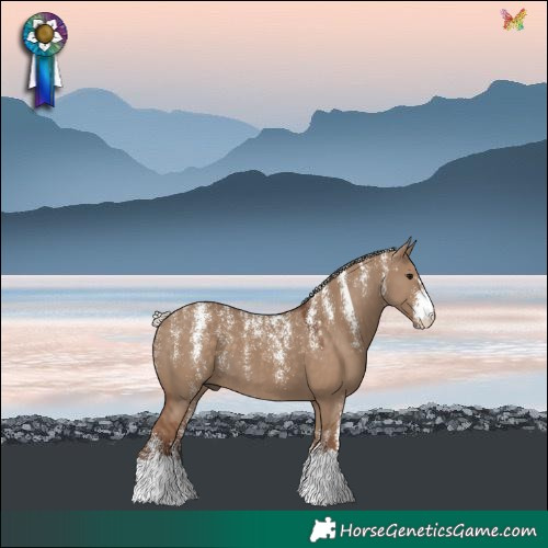 Horse Color:Powder White Silver Grullo