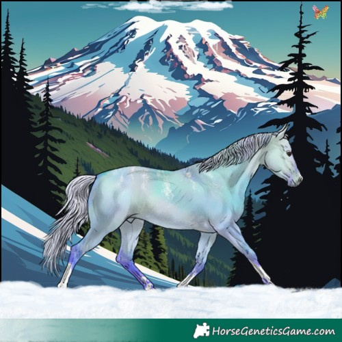 Horse Color:Powder White Watercolor Silver Bay Dun Tobiano