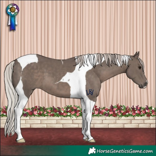 Horse Color:Silver Black Tobiano 