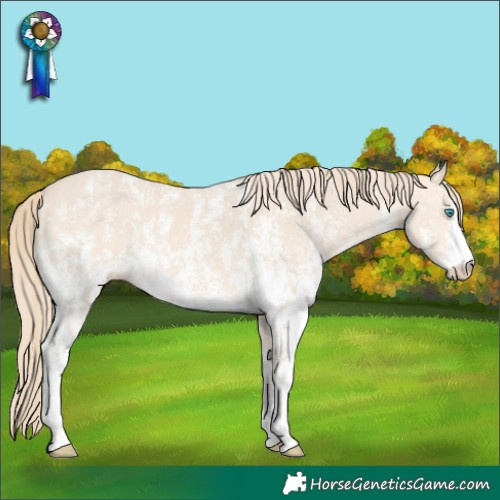 Horse Color:Perlino Sabino and Perlino Sabino