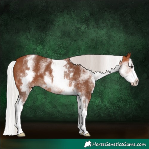 Horse Color:White Spotted Silver Brown Splash