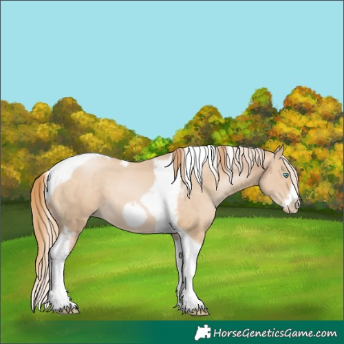 Horse Color:Chocolate Palomino Pearl Tobiano Frame  and Buckskin Pearl Tobiano Frame 