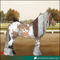 Horse Color:White Spotted Bay Dun Varnish 