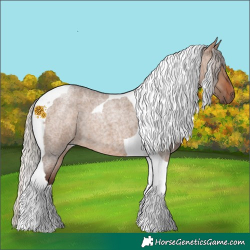 Horse Color:Silver Brown Roan Dun Tobiano