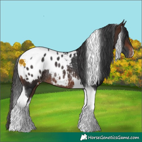 Horse Color:Brown Tobiano Blanket Rabicano