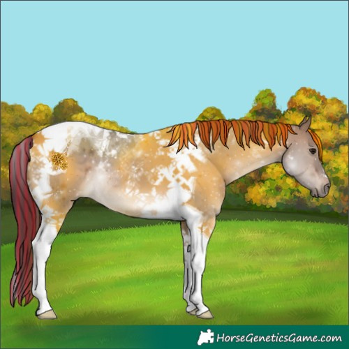 Horse Color:Painted Brown Dun Tobiano