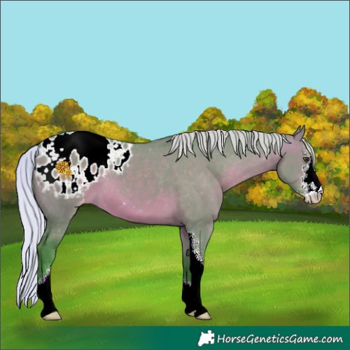 Horse Color:Watercolor Silver Brown Dun Sabino Varnish 