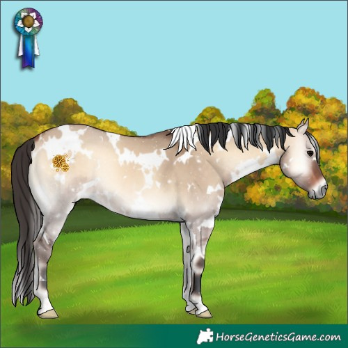 Horse Color:White Spotted Bay Onyx