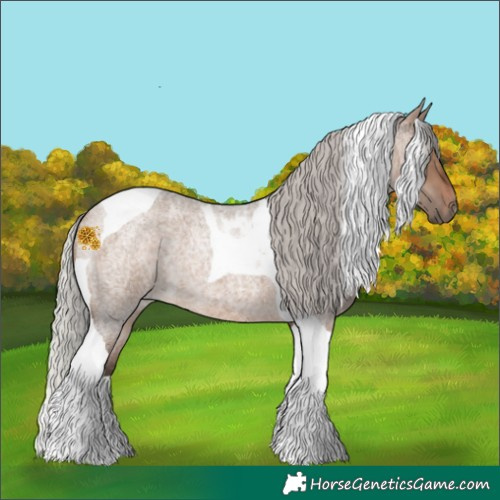 Horse Color:Silver Brown Roan Dun Tobiano
