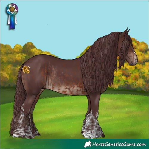 Horse Color:White Spotted Chocolate Brown Rabicano and Chocolate Brown Rabicano