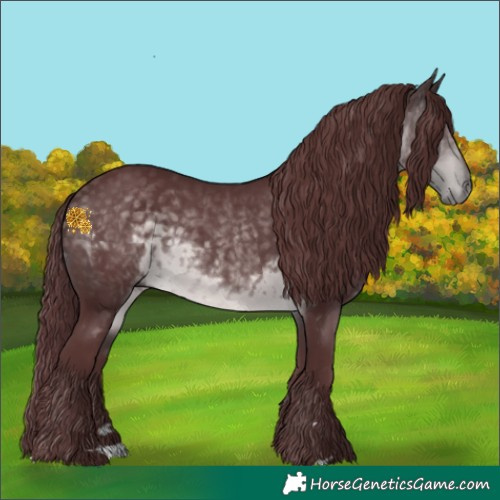 Horse Color:Platinum Chocolate Buckskin 