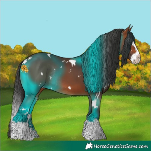 Horse Color:White Spotted Bay Splash Rabicano 