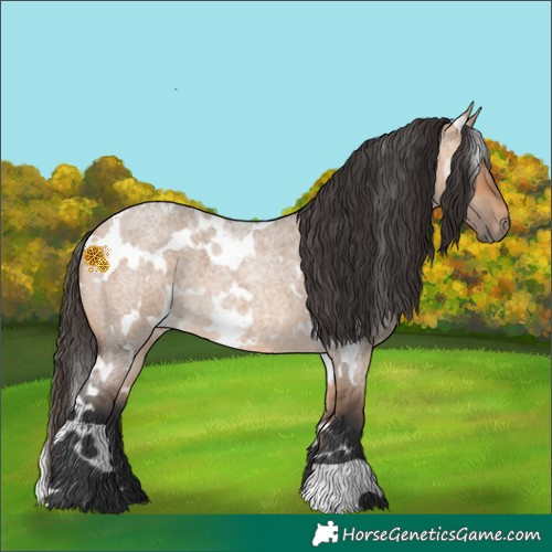 Horse Color:White Spotted Bay Roan Dun 