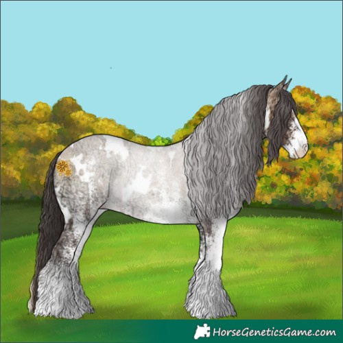Horse Color:White Spotted Bay Ice Onyx Rabicano 