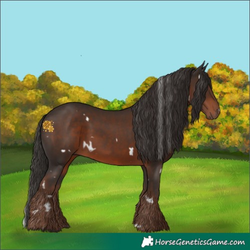 Horse Color:White Spotted Liver Chestnut