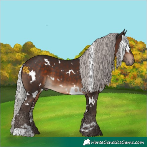 Horse Color:White Spotted Silver Brown