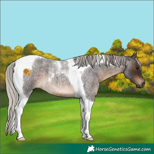 Horse Color:Gray Silver Brown Roan Tobiano