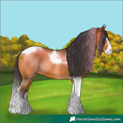 Horse Color:Bay Splash Tobiano Rabicano