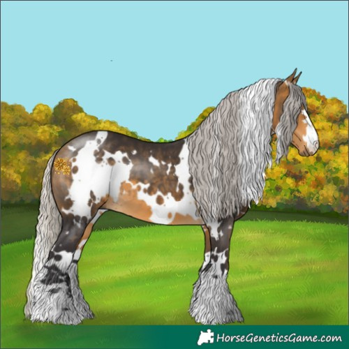 Horse Color:White Spotted Silver Buckskin 