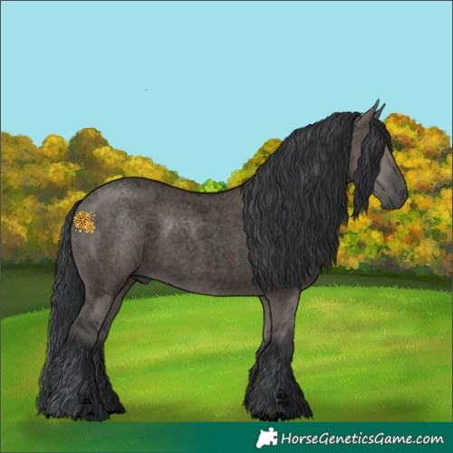 Horse Color:Void Grullo Roan