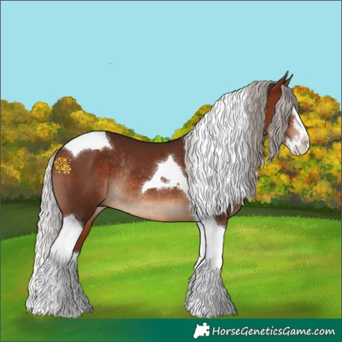 Horse Color:Silver Brown Splash Tobiano Rabicano 