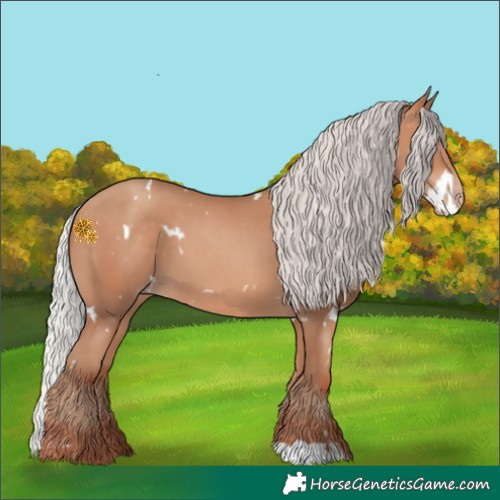 Horse Color:White Spotted Silver Sable Champagne 