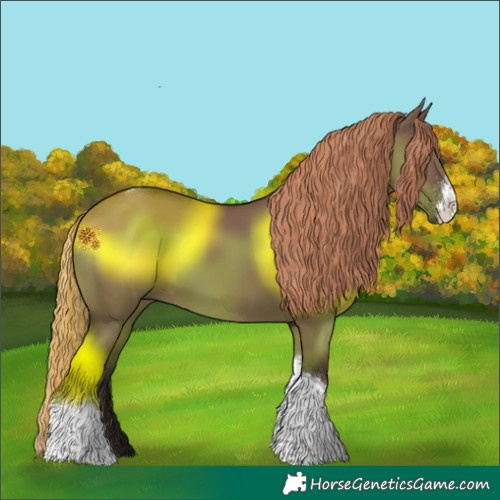 Horse Color:Liver Red Dun Sabino Tobiano Rabicano 