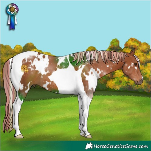 Horse Color:Painted White Spotted Chestnut Tobiano