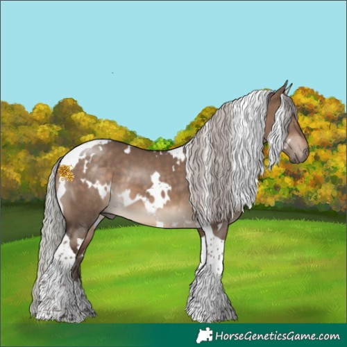 Horse Color:White Spotted Silver Brown Dun Tobiano