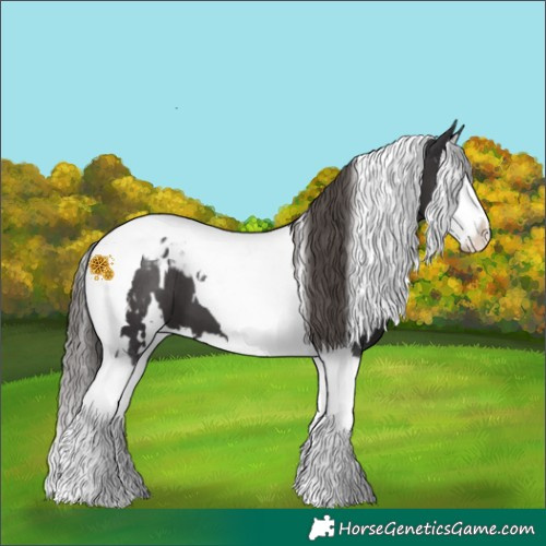 Horse Color:White Spotted Smoky Black Splash Tobiano Blanket 