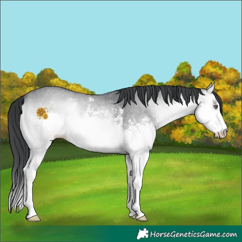 Horse Color:White Spotted Brown Chinchilla Onyx Sabino Splash 