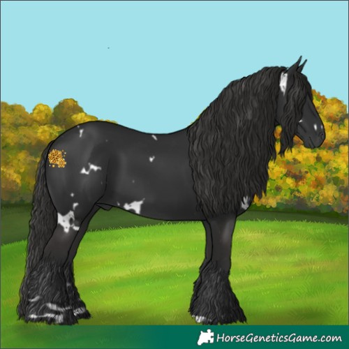 Horse Color:Gray White Spotted Liver Chestnut Rabicano 