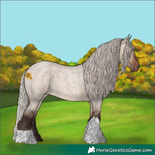 Horse Color:Silver Brown Roan Dun Tobiano 
