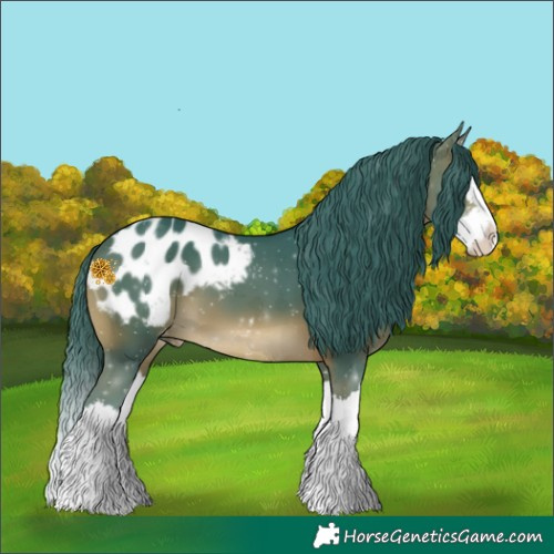 Horse Color:Watercolor Brown Splash Appaloosa 