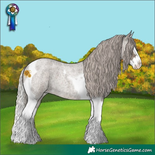 Horse Color:Silver Grullo Roan Splash Tobiano 