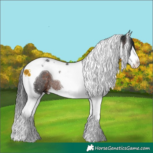 Horse Color:Brown Splash Tobiano Rabicano 