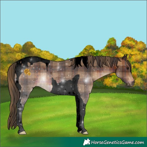 Horse Color:Void Plaid Brown Tobiano