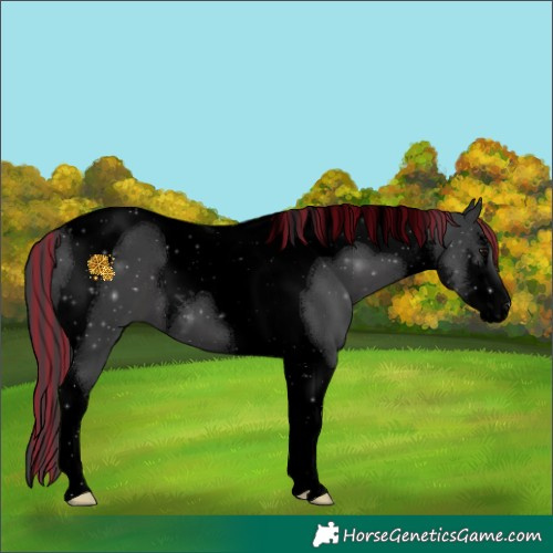 Horse Color:Void Painted White Spotted Black Tobiano